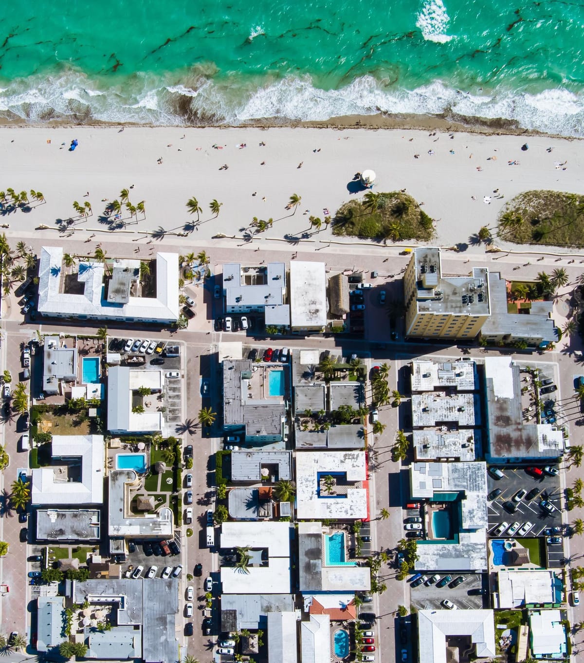 Hollywood Beach Hotels, photo 1